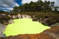 Green Devil`s Bath Pool at Wai-O-Tapu Geothermal Area near Rotorua, New Zealand Royalty Free Stock Photo