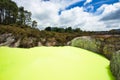 Green Devil`s Bath Pool at Wai-O-Tapu Geothermal Area near Rotorua, New Zealand