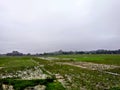 Green trees under cloudy skies Royalty Free Stock Photo