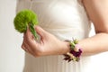 Green Dianthus Wedding Flower