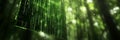 Green digital binary code data stream matrix. Technology, programming, and cybersecurity concept. Royalty Free Stock Photo