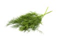 Green dill Royalty Free Stock Photo