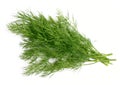 Green dill Royalty Free Stock Photo
