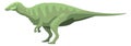 A green dinosaur is walking on a white background Royalty Free Stock Photo