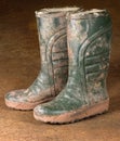 Green dirty rubber boots Royalty Free Stock Photo