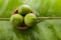 Green display Of Lemons in the market and three Royalty Free Stock Photo