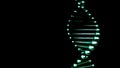 Green dna replication on the black background. Royalty Free Stock Photo