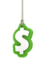 Green dollar currency symbol isolated on white background hanging on rope