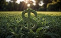 A green dollar sign symbol is placed on top of a lush green field, surrounded by grass