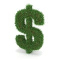 Green Dollar Sign Royalty Free Stock Photo
