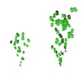 Green dollar signs floating upward on a white background. 2 versions. Passive income stream generation concept. Making money