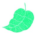 Green doodle hand drawn leaf. Royalty Free Stock Photo