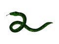 Green doodle snake