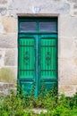 Green door Royalty Free Stock Photo