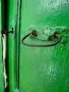 A green door behind green plants