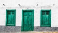 Green door and windows of an old house in Spain