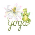 Green dragon meditating on lotus stem. Animal practicing fitness exercises. Realistic water lily flower and cartoon dragon. Stem Royalty Free Stock Photo