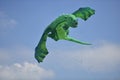 Green dragon shape kite.