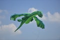 Green dragon shape kite.