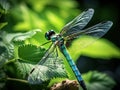 Green dragonfly Made With Generative AI illustration