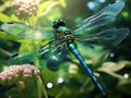 Green dragonfly Made With Generative AI illustration