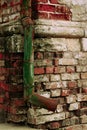 Green drainpipe at brick wall