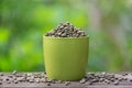 Green dried raw coffee beans in a green cup, outdoor Royalty Free Stock Photo