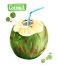 Green drinking coconut, watercolor illustration