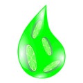 Green drop of lime juice Royalty Free Stock Photo