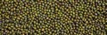 Green dry mung beans uncooked full background, banner, top view Royalty Free Stock Photo