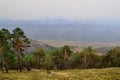 Green dry trees after fire stand against the background of the shore of lake Baikal in fog, smoke after fire Royalty Free Stock Photo