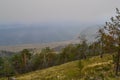 Green dry trees after a fire stand against the background of the shore of lake Baikal in fog, smoke, in warm light Royalty Free Stock Photo