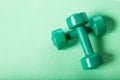 Green du,bbells on fitnes mat. Dumbbells with copy space Royalty Free Stock Photo