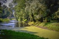 Green duckweed pond surrounded by trees and plants hanging their branches to water Royalty Free Stock Photo