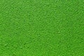 Green duckweed texture