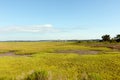 Green dune grass landscape with low tide and bridge Royalty Free Stock Photo