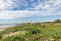 Green Dune Vegetation and Aloe Plants on Beach Dunes Royalty Free Stock Photo