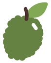 Green durian, icon