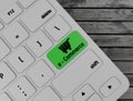 Green E-Commerce Button on Computer Keyboard