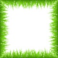 Green early spring grass frame isolated on white background. Realistic eco nature border. Royalty Free Stock Photo