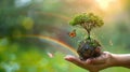 Hand Holding Green Globe with Butterflies and Rainbow, Symbolizing Planet Environment Concept with Tree Royalty Free Stock Photo