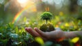 Hand Holding Green Globe with Butterflies and Rainbow, Symbolizing Planet Environment Concept with Tree Royalty Free Stock Photo