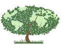 Green earth tree