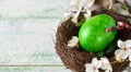 Green easter egg in a nest Royalty Free Stock Photo