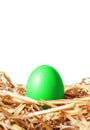 Green easter egg in a straw nest Royalty Free Stock Photo