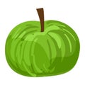 Green eco apple icon, cartoon style Royalty Free Stock Photo