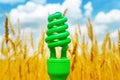 Green eco bulb over field with golden harvest Royalty Free Stock Photo