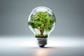 Green eco energy concept. Isolated tree growing inside the light bulb.Clean and Renewable Energy concept Royalty Free Stock Photo