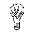 Green eco energy concept, plant growing inside the light bulb. Hand-drawn icon vector isolated on white background Royalty Free Stock Photo