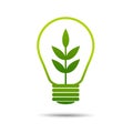 Green eco energy concept, plant growing inside light bulb. Royalty Free Stock Photo